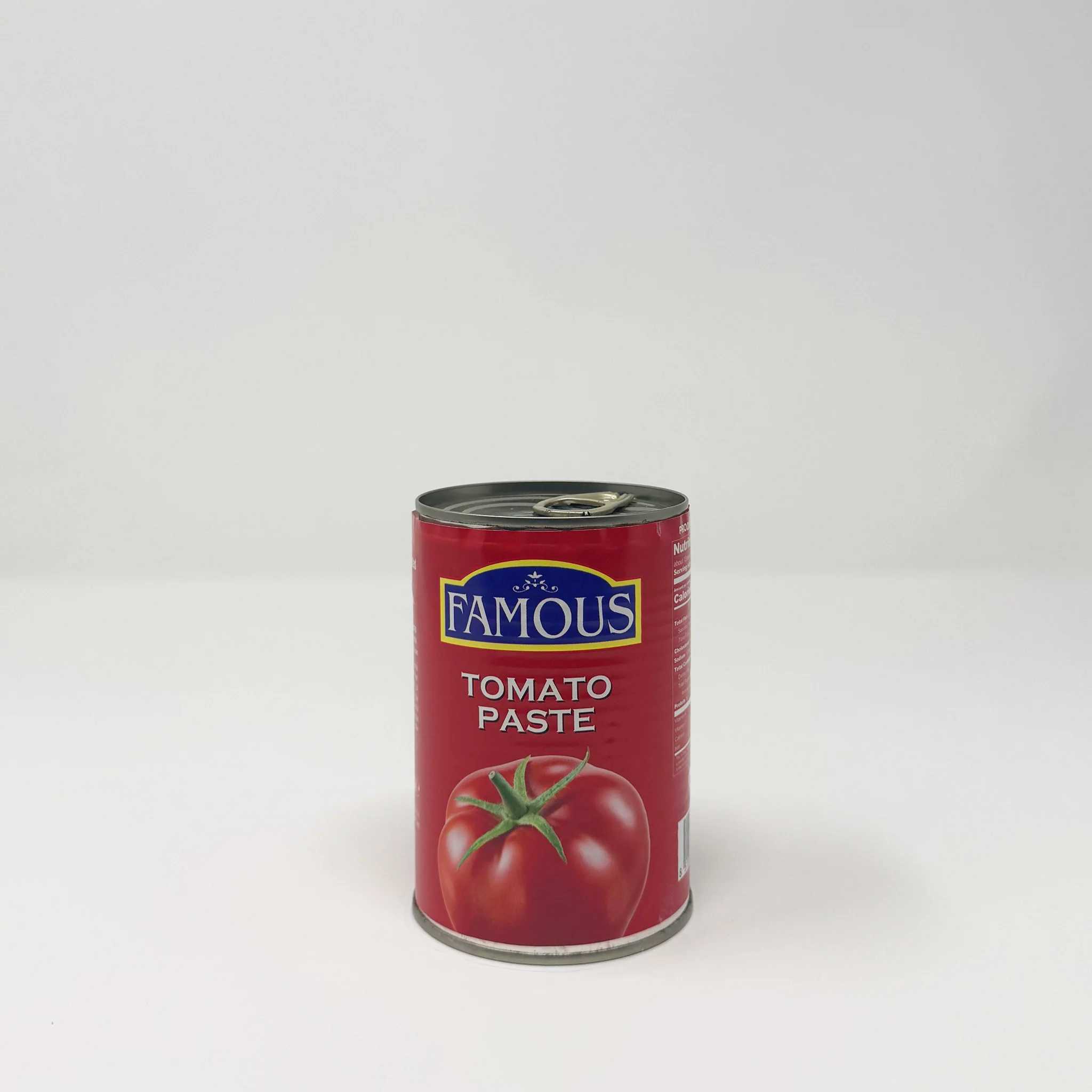 Famous Tomato Paste 400g can